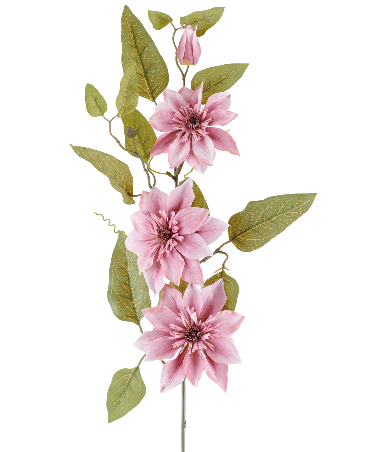 Een stengel van de Kunstbloem Clematis 81 cm oudroze, met drie oudroze clematisbloemen, een gesloten roze knop en meerdere groene bladeren, tegen een witte achtergrond.