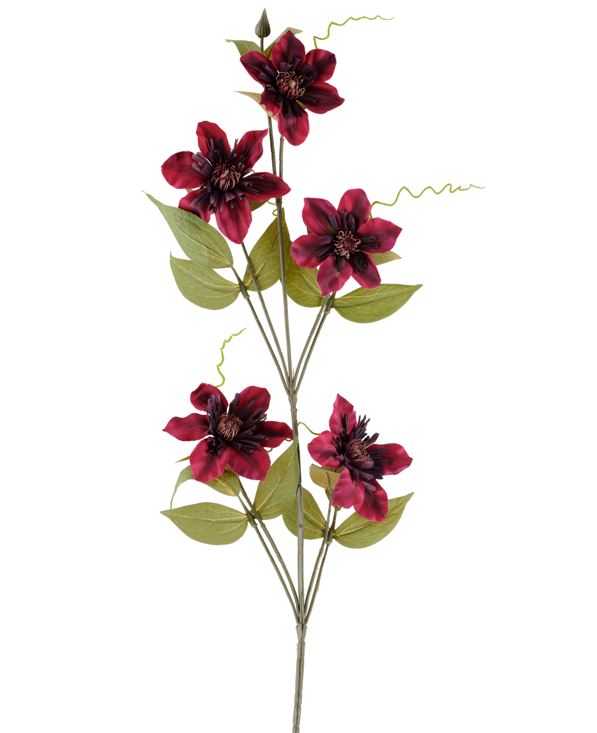Een enkele kunstbloem Clematis 78 cm bordeaux, een kunststengel, bestaat uit vijf dieprode bordeauxkleurige bloemen met donkere hartjes, omringd door groene bladeren en gekrulde ranken, tegen een effen witte achtergrond.