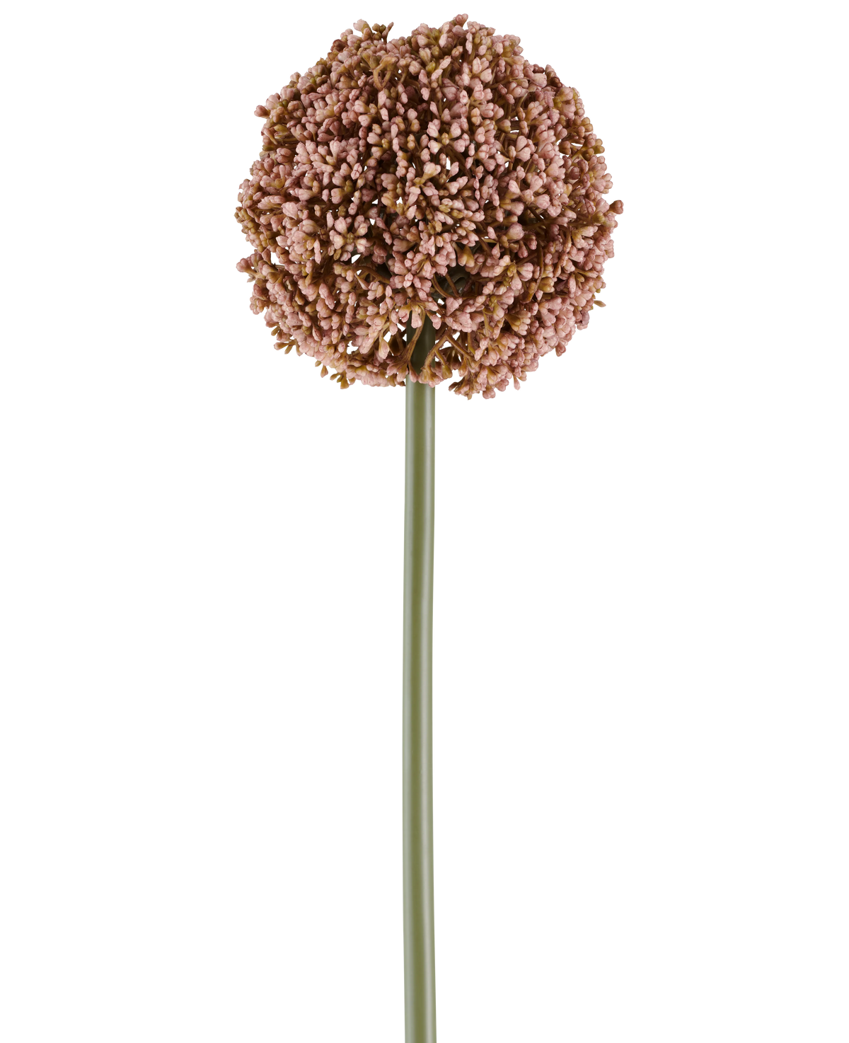Een enkele Kunstbloem Allium van 75 cm in mauve, met een lange groene steel en een grote, ronde tros van kleine mauve knoppen, afgeschilderd op een witte achtergrond.