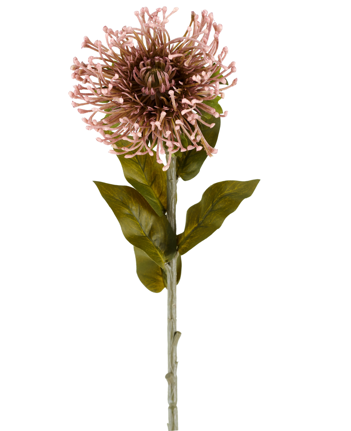 De Kunstbloem Protea 65 cm mauve is een enkele kunstbloem in de vorm van een protea, met een ronde tros mauve, puntige bloemblaadjes, groene bladeren en een lange steel, afgebeeld tegen een effen witte achtergrond.