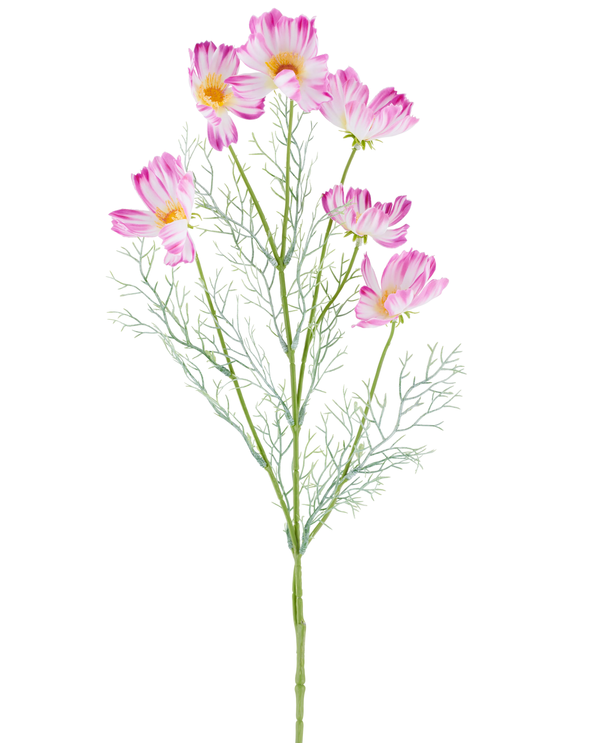 Een Kunstbloem Cosmo van 78 cm in crème/roze, met meerdere lichtroze en witte cosmosbloemen en vederachtige groene blaadjes, afgebeeld tegen een effen witte achtergrond.