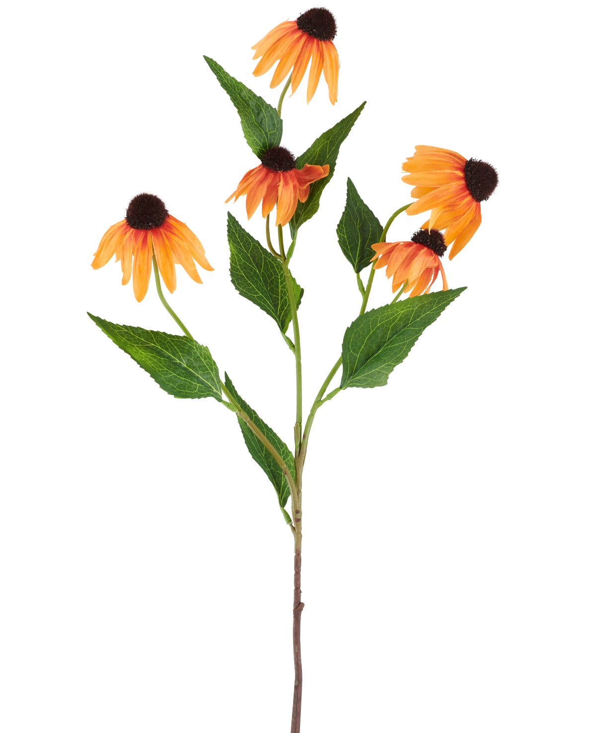 Een enkele Kunstbloem Echinacea van 75 cm, oranje, met vijf levendig oranje zonnehoedjes, elk met een donkerbruin hart en omgeven door groene bladeren, tegen een effen witte achtergrond.