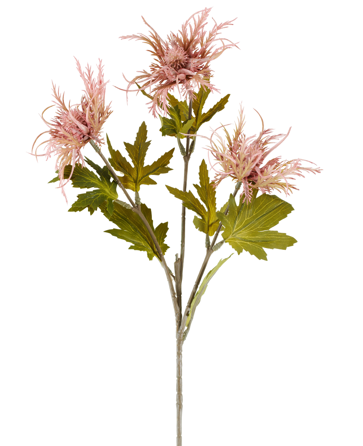 Een enkele stengel van Kunstbloem Armeria maritima, 67 cm oudroze, met meerdere groene blaadjes en drie puntige, oudroze bloemen, afgebeeld tegen een effen witte achtergrond.