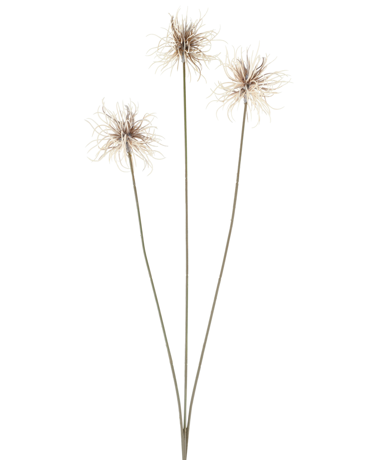 Drie kunstbloemen van het geslacht Xanthium in crèmekleur en bruin, elk met dunne, lange stelen van 64 cm, in een waaiervorm gerangschikt tegen een effen witte achtergrond.