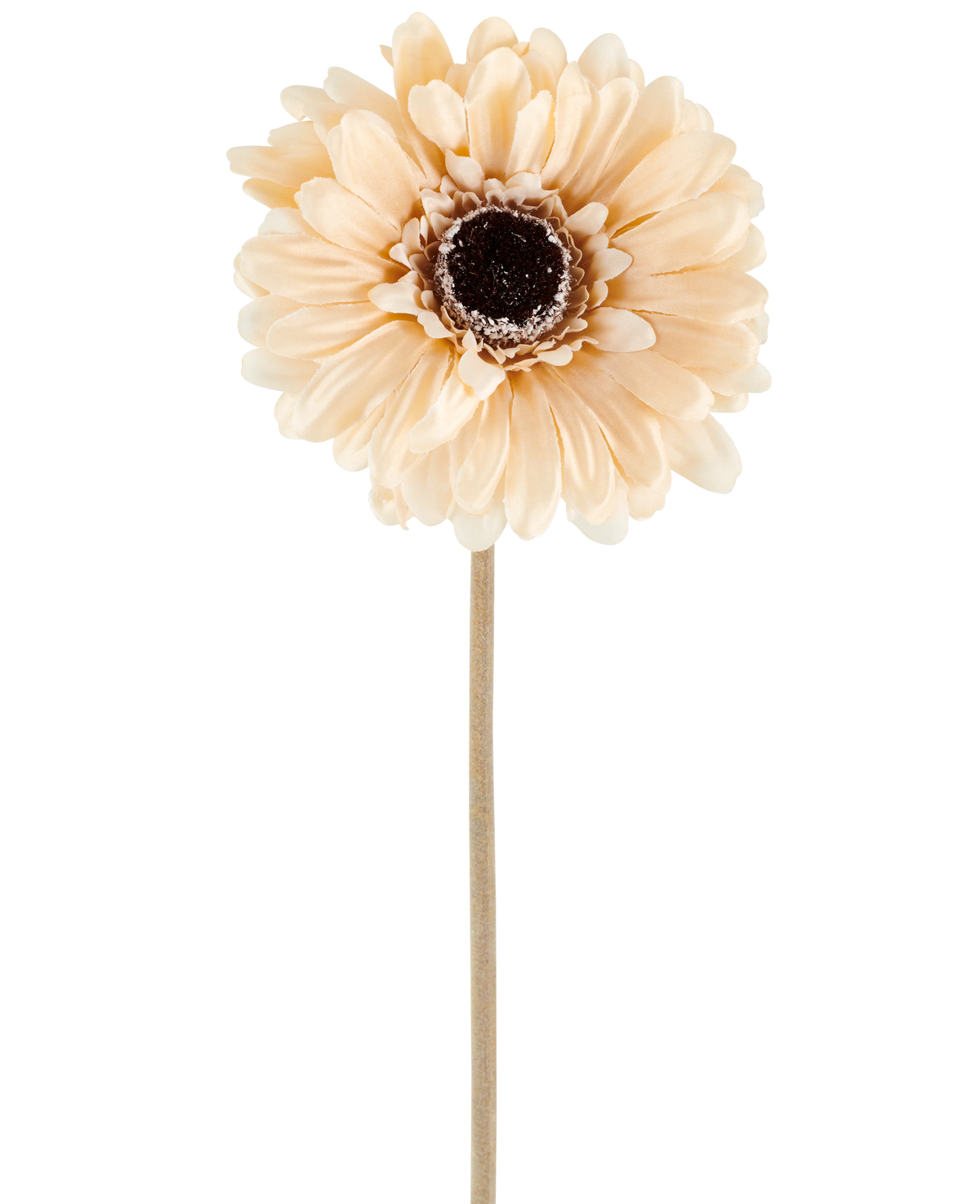 De Kunstbloem Gerbera 53 cm crème/bruin bestaat uit één enkele lichtperzikkleurige kunstgerbera met gelaagde bloemblaadjes en een donkerbruin hart op een lange, slanke steel, afgebeeld tegen een effen witte achtergrond.