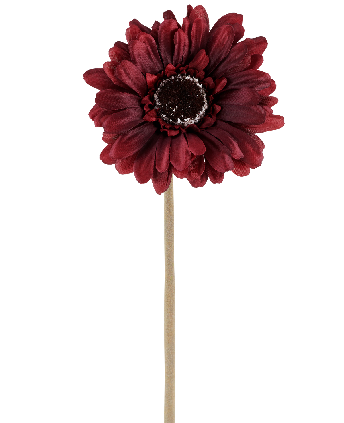 De Kunstbloem Gerbera 53 cm bordeaux bestaat uit één kunstgerbera in een rijke, donkerrode tint met gelaagde bloemblaadjes en een bruin hart, bevestigd aan een lange, rechte, lichtgekleurde steel en gepresenteerd tegen een effen witte achtergrond.