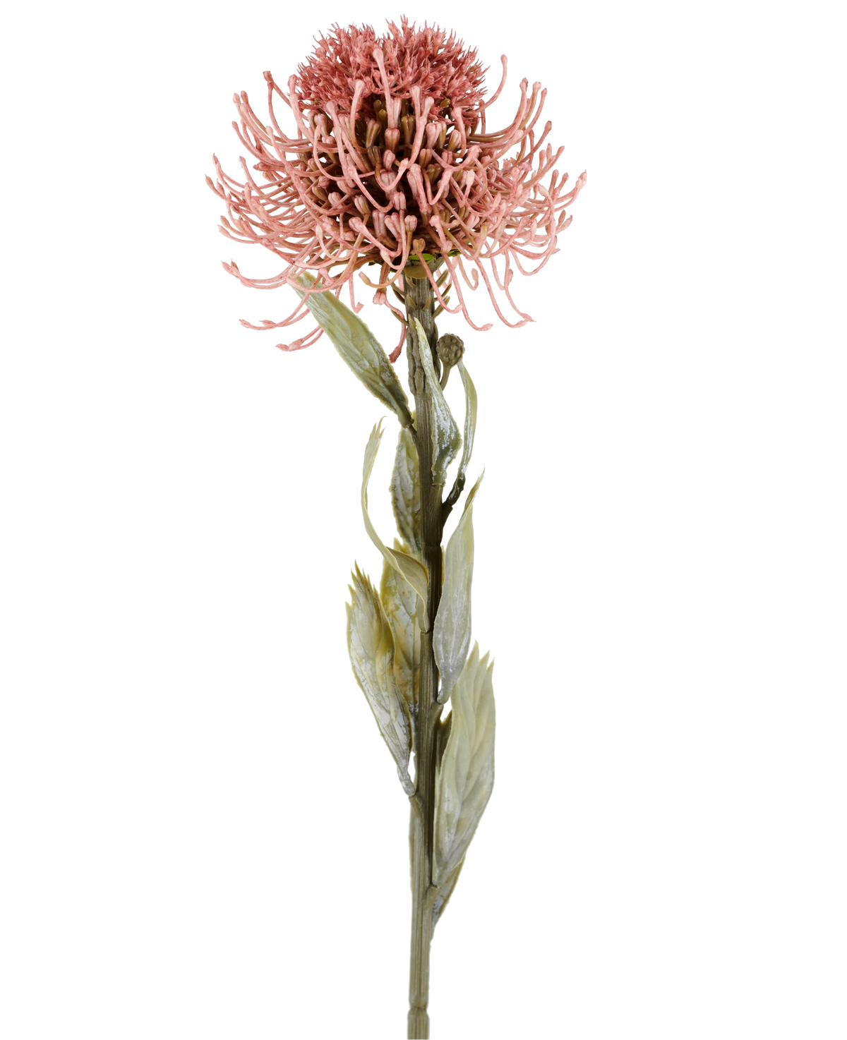 Kunstbloem Protea 60 cm oudroze met puntige roze bloemblaadjes en groene bladeren aan een lange steel, afgebeeld tegen een effen witte achtergrond.