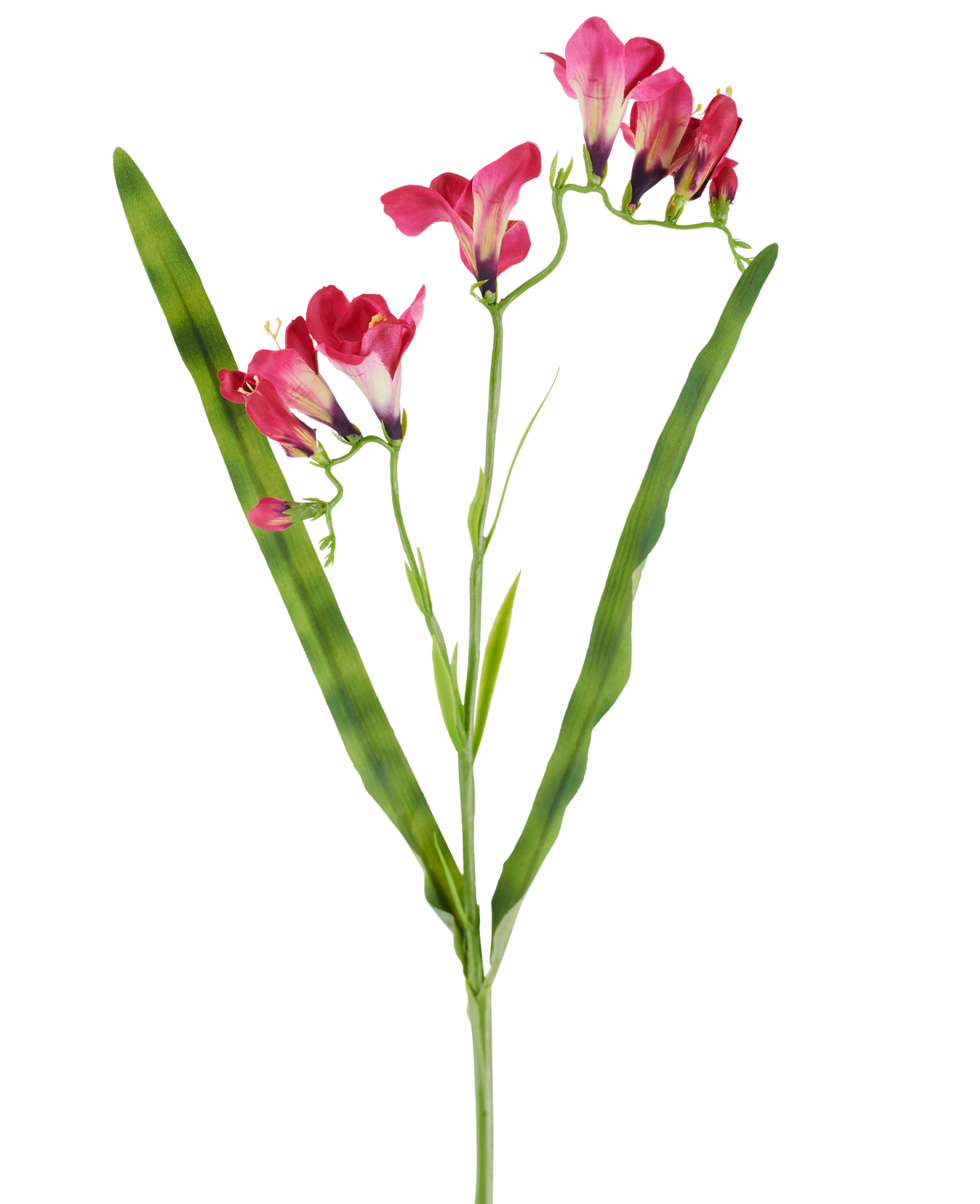 Een kunstbloem: freesia van 56 cm in fuchsia, met levendige fuchsia bloemen en twee lange, slanke groene bladeren, afgebeeld op een witte achtergrond.