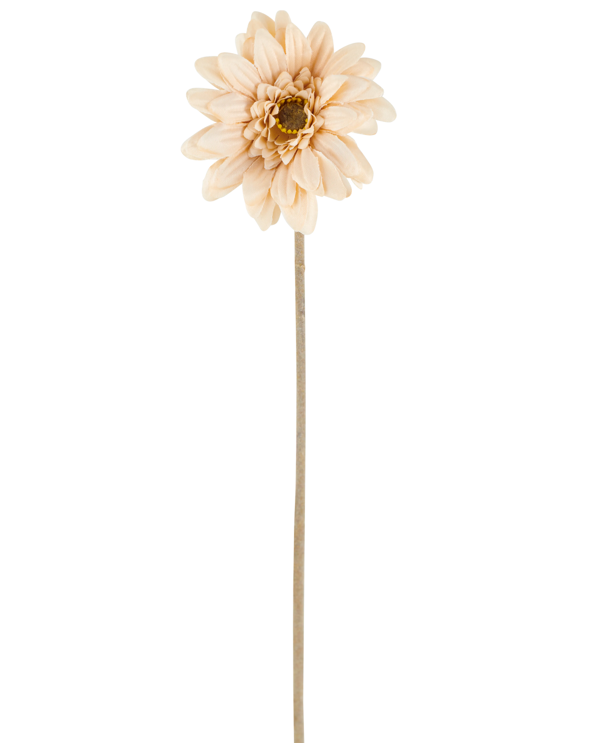 Een enkele Kunstbloem Mini Gerbera in crème/bruin, met gelaagde bloemblaadjes en een lange, dunne steel van 47 cm, gecentreerd tegen een witte achtergrond.