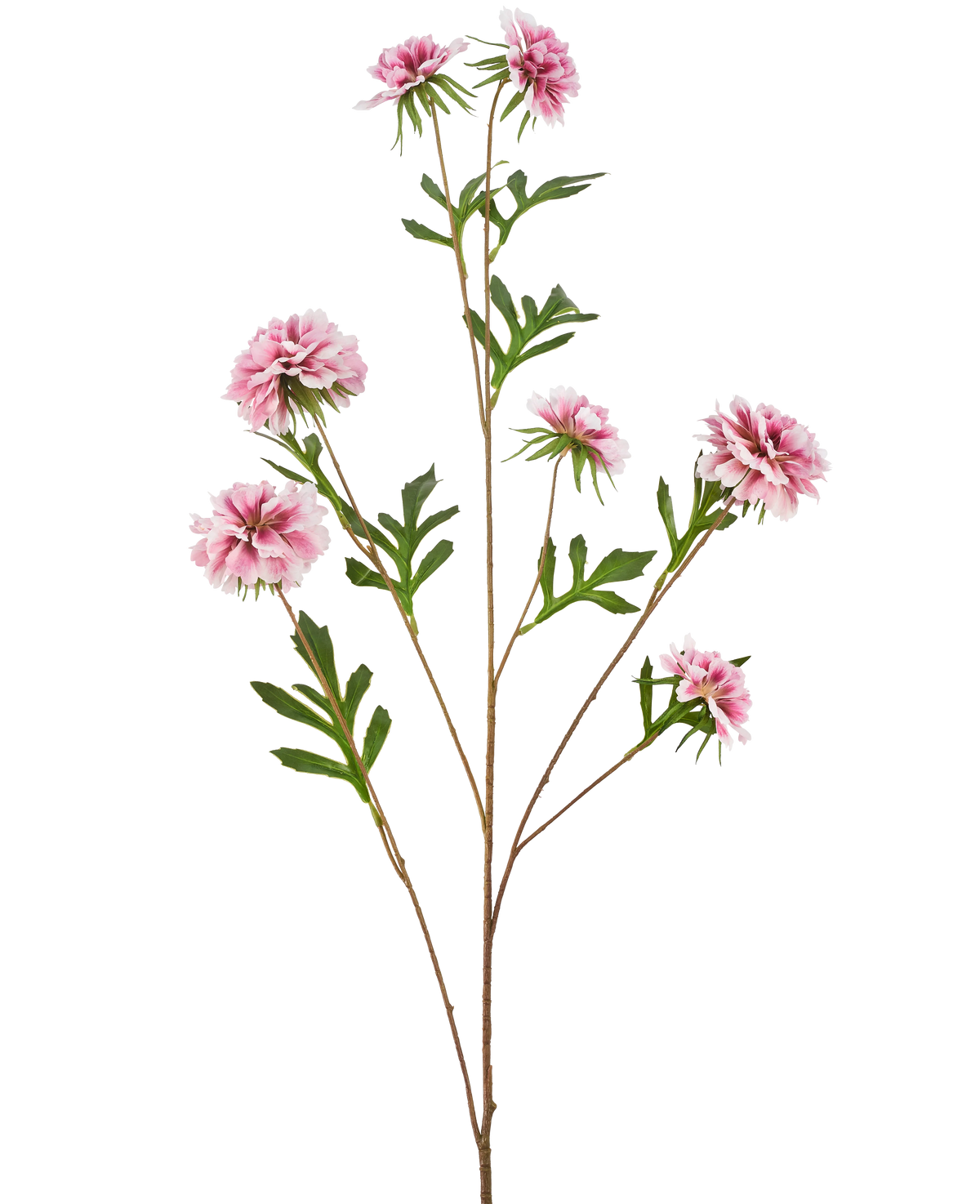 De Kunstbloem Korenbloem 112 cm roze heeft een lange steel met groene bladeren en verschillende roze, pluizige, dahlia-achtige bloemen tegen een witte achtergrond.