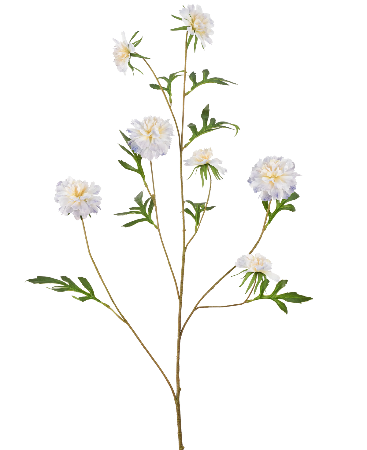 Een hoge kunststengel genaamd Kunstbloem Korenbloem 112 cm lichtblauw met meerdere takken, elk met lichtblauwe korenbloemen en groene bladeren, tegen een effen witte achtergrond.