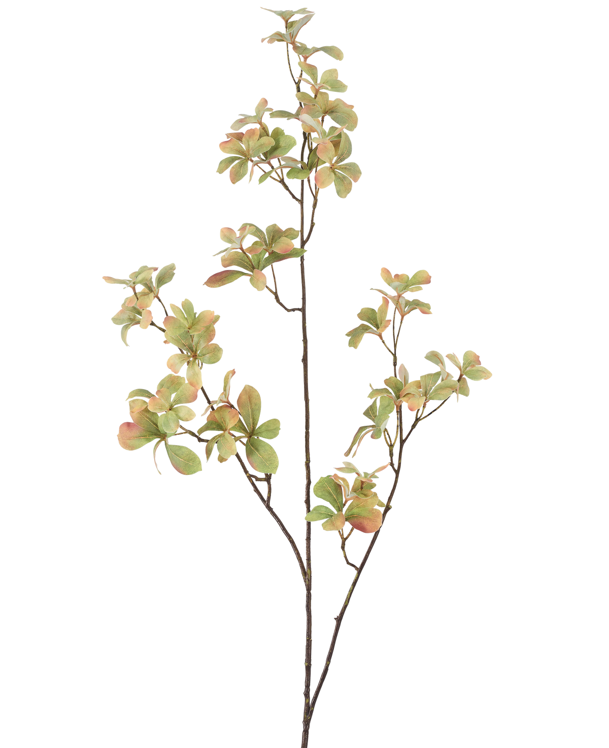 De Kunstbloementak 112 cm groen heeft een slanke, vertakkende stengel met trosjes groene bladeren die lichtroze en crèmekleurig zijn, tegen een effen witte achtergrond.