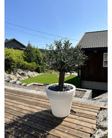 Eksklusiv Lyspotte 53cm