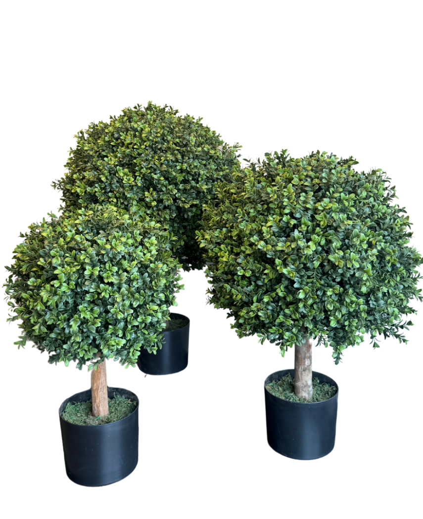 Kunstig Plante Buksbom D50 cm UV
