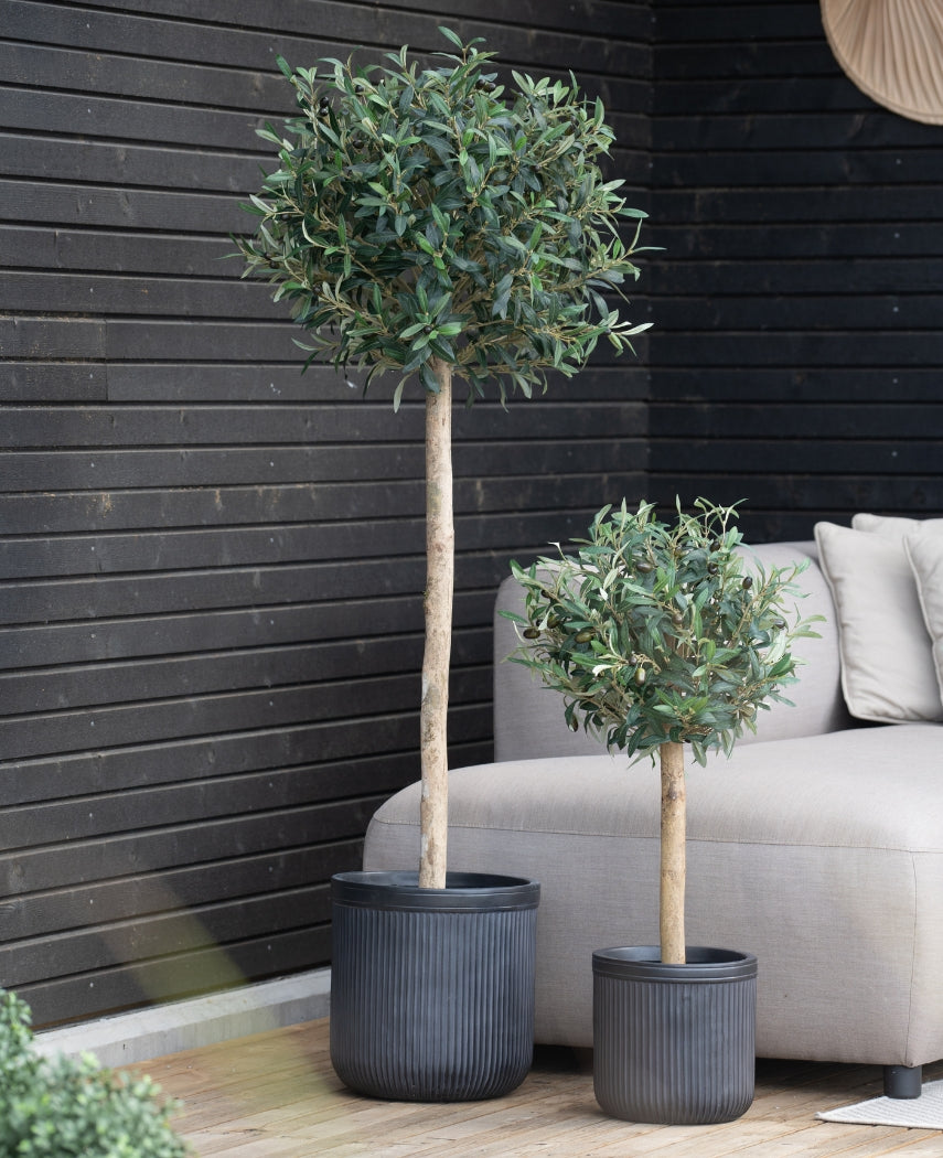 Kunstig Oliventre m/Oliven UV 150 cm