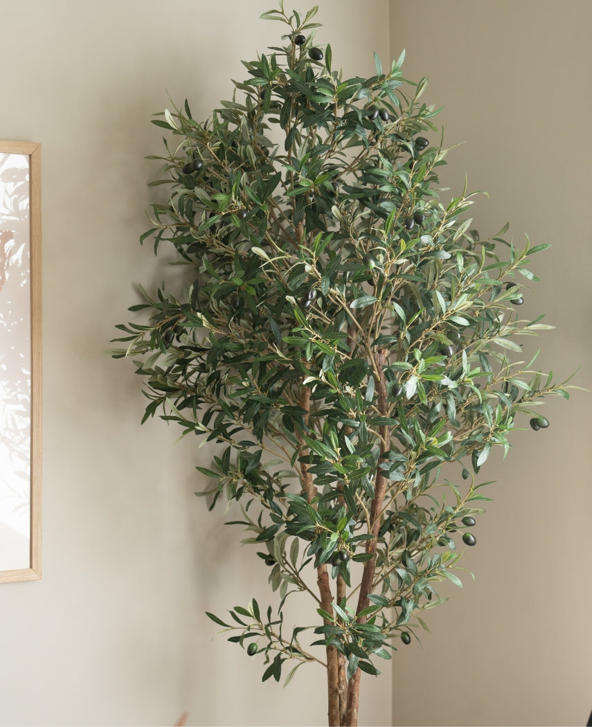 Kunstig Oliventre m/Oliven UV 180 cm
