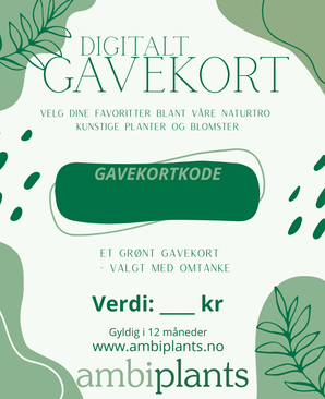 Gavekort