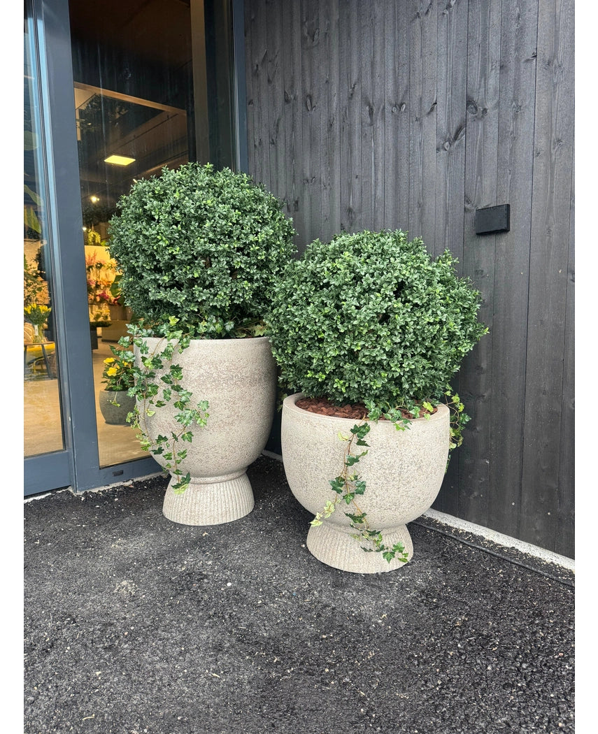 Kunstig Buksbom Ball På Stamme Romerstil 75cm