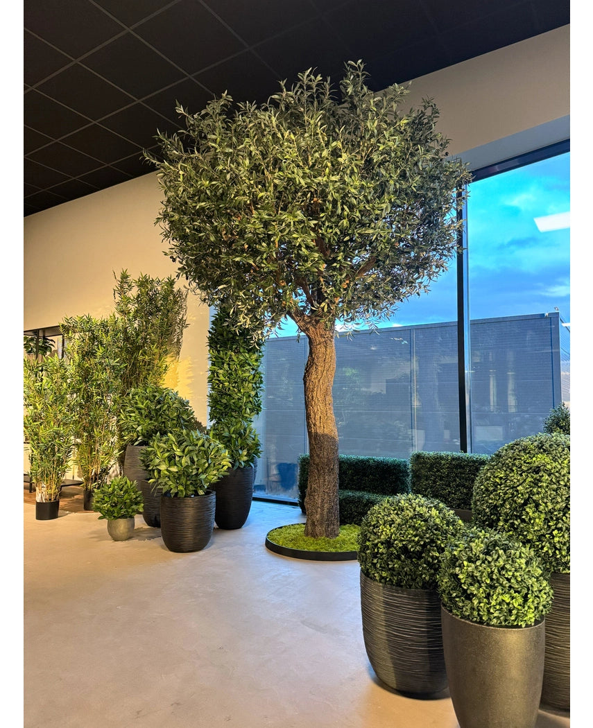Kunstig Oliventre Kalamata m/Oliven 300cm