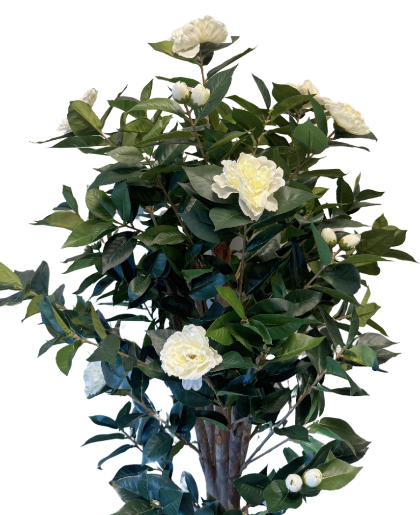Kunstig Plante Camellia 140 cm hvit