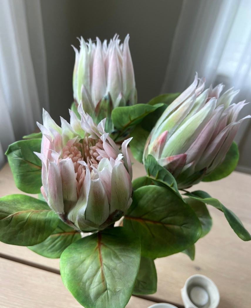 Kunstig Protea Stilk Lys Rosa 65 cm