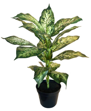 Kunstig Dieffenbachia Plante UV 40cm