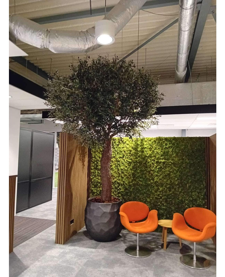 Kunstig Oliventre Kalamata m/Oliven 300cm