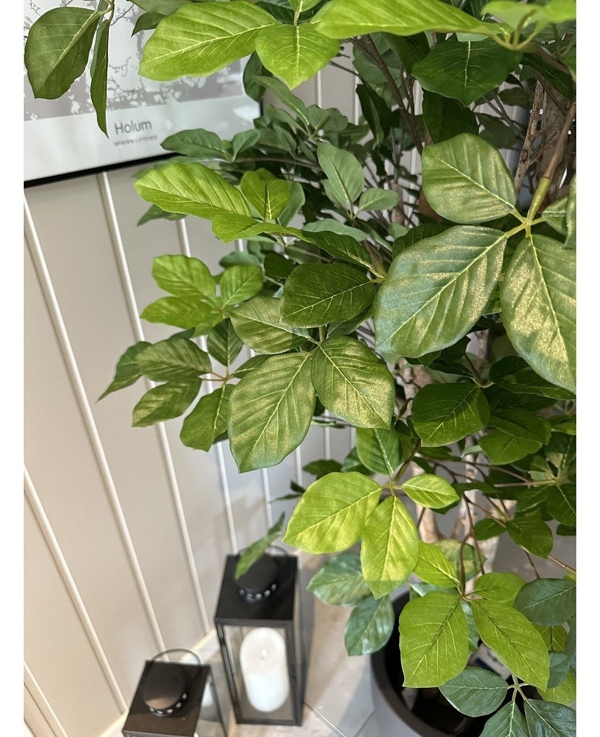 Kunstig Agnbøk 180cm