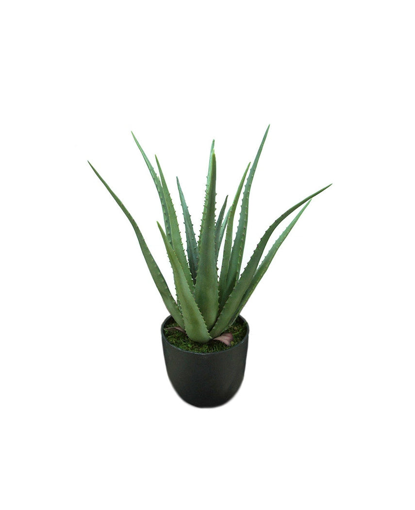 Kunstig Aloe Vera Plante 55cm