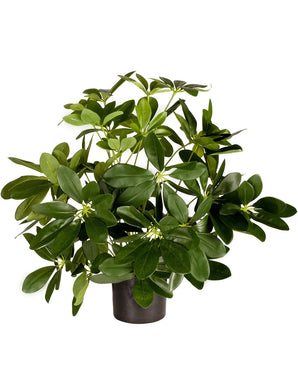 Kunstig Baby Schefflera i Potte 45cm