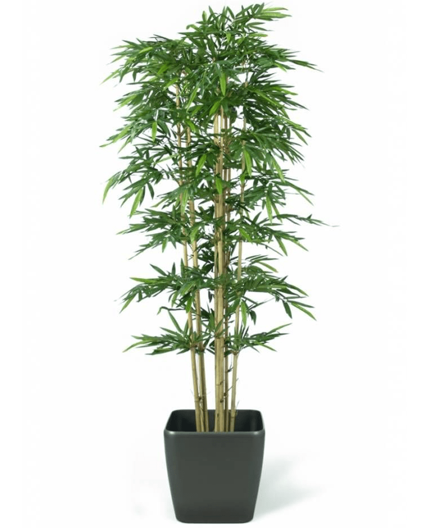 Kunstig Bambus Brannsikker 300cm