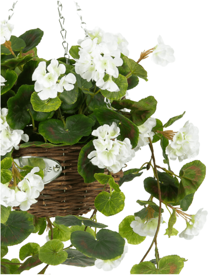 Kunstig Begonia Hvit i Kurv UV 70cm