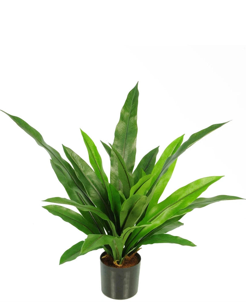 Kunstig "Bird`s nest" Bregne 60cm