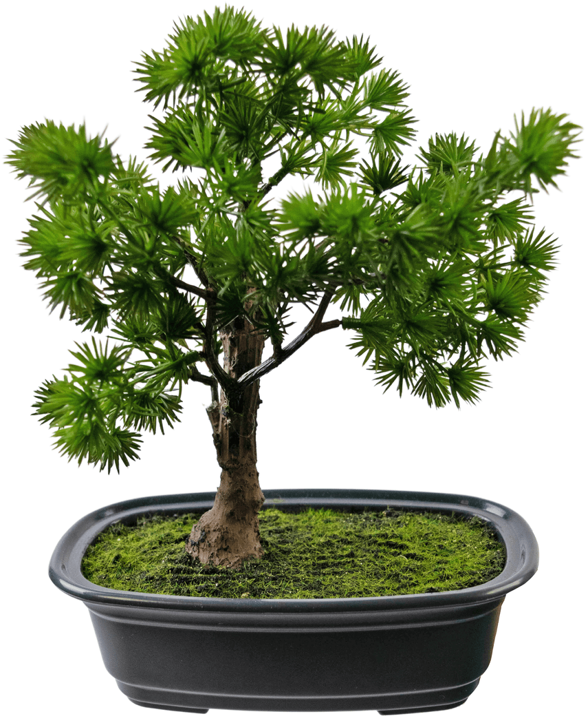 Kunstig Bonsai Einer 20cm