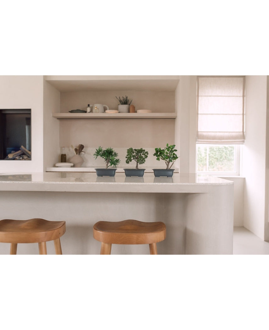 Kunstig Bonsai Fikus 20cm