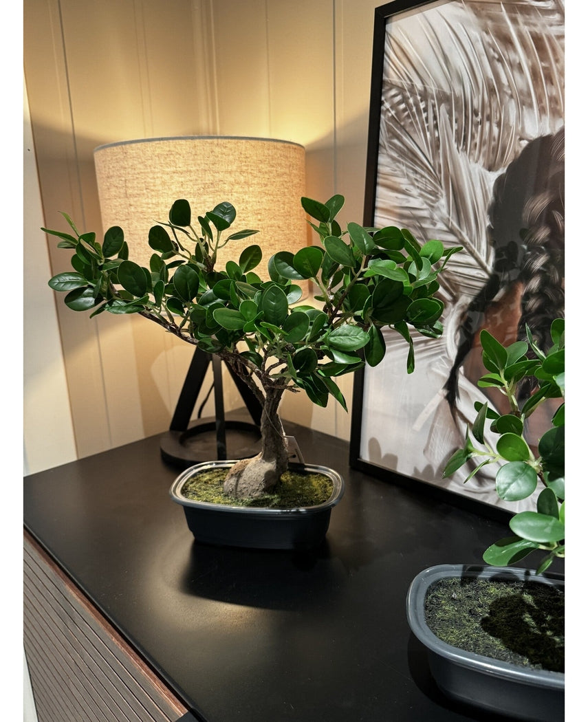 Kunstig Bonsai Fikus 30cm