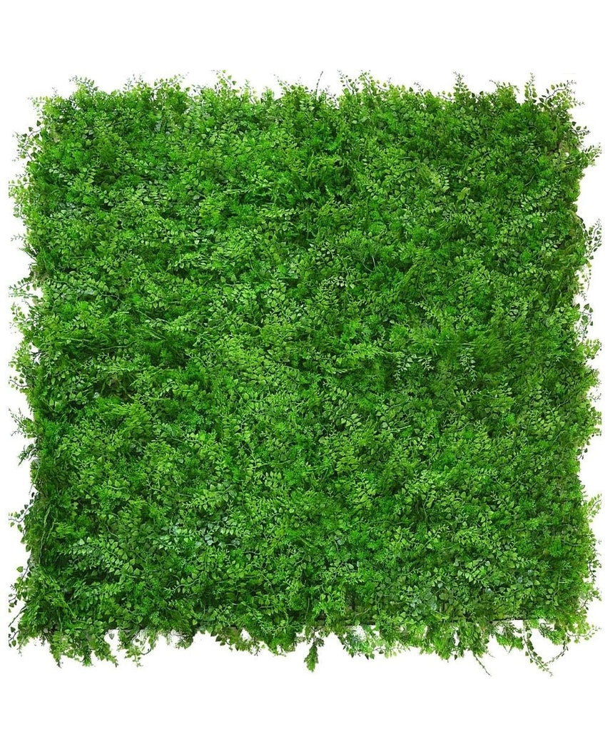 Kunstig Bregne/Tuja Plantevegg 50x50cm UV