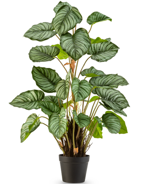 Kunstig Calathea Confusion 90cm