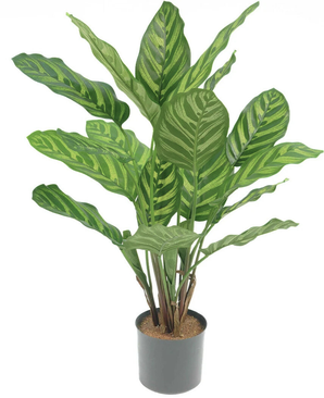 Kunstig Calathea Makoyana 45cm