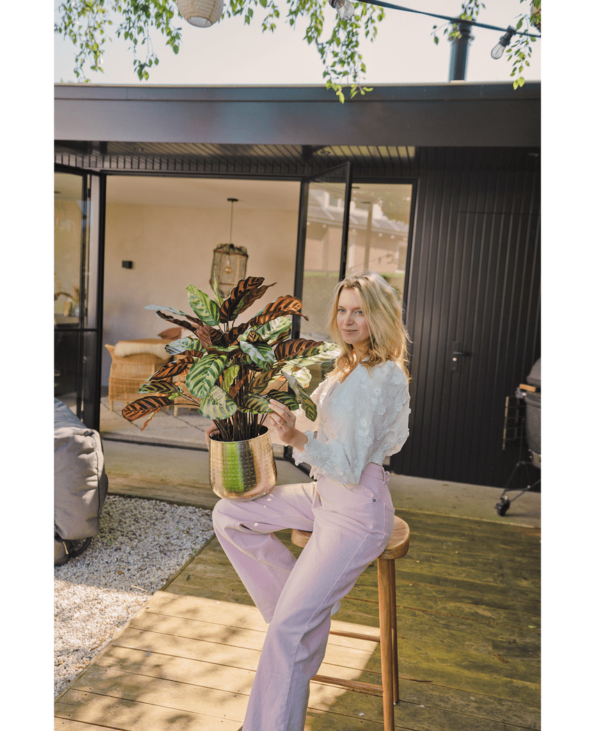 Kunstig Calathea Makoyana Burgunder75cm