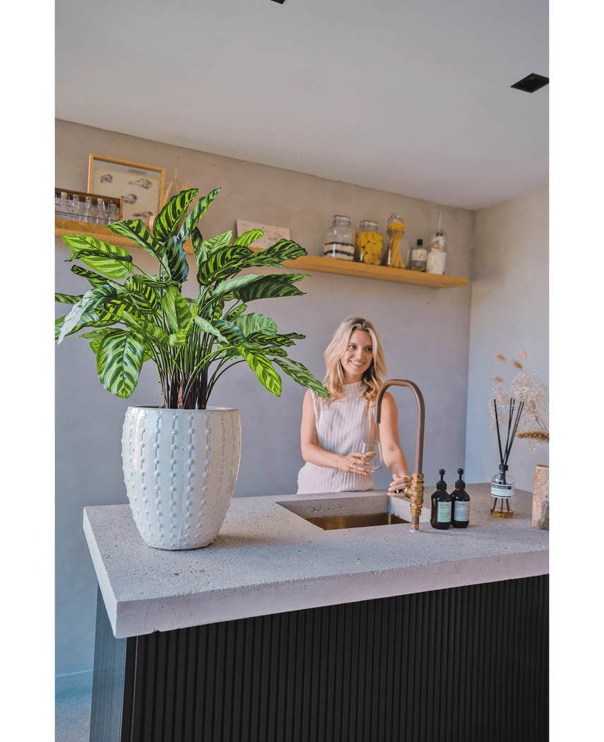 Kunstig Calathea Makoyana Fyldig 75cm