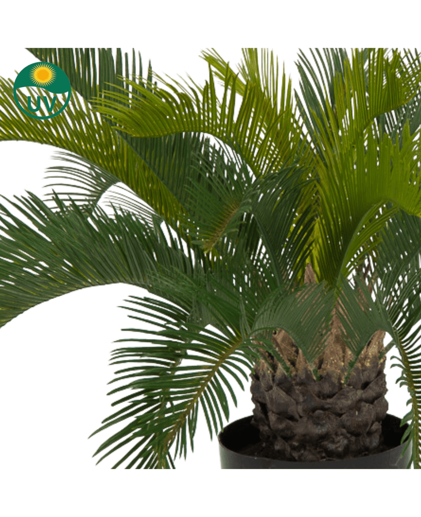 Kunstig Cycas Palme Deluxe UV 70cm