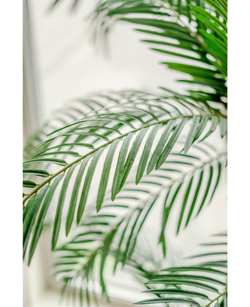 Kunstig Cycas Palme Tre 165cm