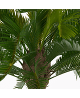 Kunstig Cycas Palme Twist UV 160cm