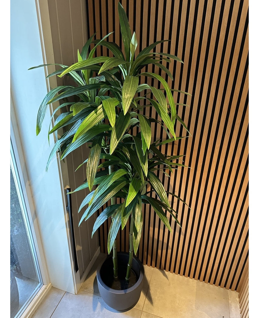Kunstig Dracaena Tre 180cm