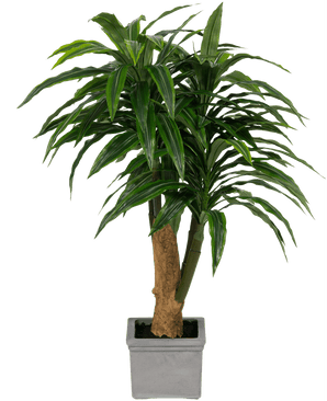 Kunstig Dracaena Tre i Sement Potte110cm
