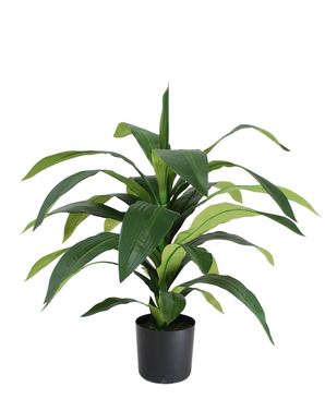 Kunstig Draceana Fragrans Plante 65 cm