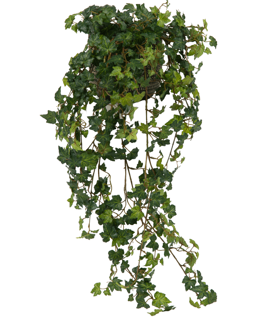 Kunstig Eføy Deluxe Grønn 120cm