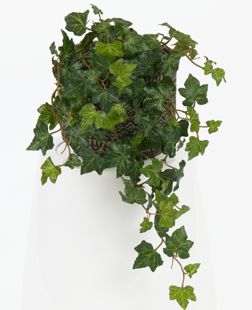 Kunstig Eføy Deluxe Grønn 40cm