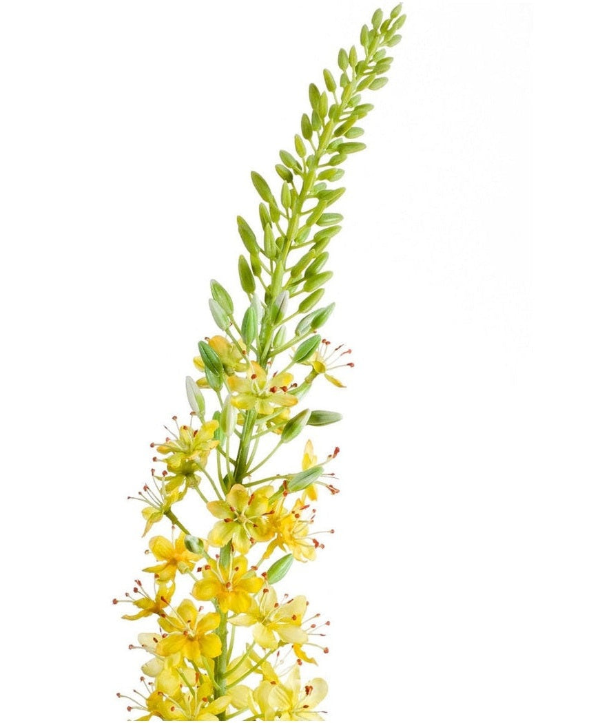 Kunstig Eremurus Stilk Gul 105cm